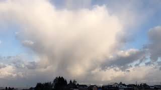 ウェザーリポート動画0117@富山 砺波市 雪雲？雨雲？ 7:45