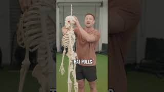 STOP Belly Breathing! It’s Ruining Your Posture.