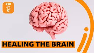 The incredible way our brain can heal itself | BBC Ideas