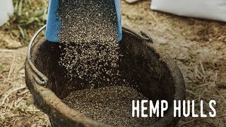 Hemptana: Hemp Hulls