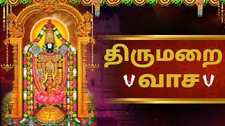 சனிக்கிழமை ஸ்ரீ வெங்கடேஸ்வர ஸ்வாமியின் பக்தி பாடல்கள் | venkateswara suprabhatam | Devotional Songs