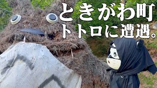 【ときがわ町】田舎を堪能してたらトトロに遭遇したでござる。