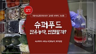 [보건환경톡톡 9편] 수퍼푸드 잔류농약, 안전할까?