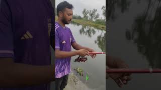 যে ভাবে হাত ছিপ দিয়ে টোপ ফেলে রুই ধরলাম।।।#fishing #village #fishing #paranormal #drawingskill