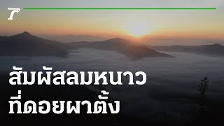 คุณชนะอยากเล่า : ชวนเที่ยวเชียงราย สัมผัสลมหนาวที่ดอยผาตั้ง | 10-11-64 | ตะลอนข่าว