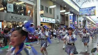 サニーグループ踊り子隊 2019よさこい全国大会 帯屋町筋会場 リッチモンド前 [4K] 08.12