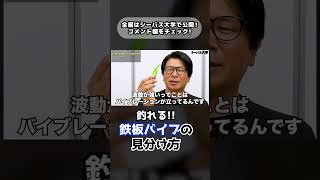 釣れる鉄板バイブは〇〇が違う！！鉄板バイブの使い方