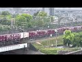 清洲城から見える貨物列車　2022.4.24 11 16