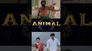 Animal Teaser preview #ranbirkapoor #rashmikamandanna #bobbydeol #animal #tseries #latest never miss