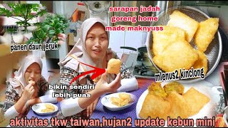 hujan..⁉️ panen daun jeruk lanjut sarapan jadah goreng maknyuss||aktivitas tkw taiwan