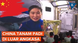 Astronot China 'Pamer' Bisa Tanam Padi di Luar Angkasa