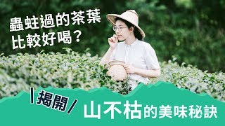 【山不枯】斟一盅老手路的茶香，從坪林出發，重現台灣山林的美好。｜Pinkoi 小編散散步：山不枯 Sanpuku