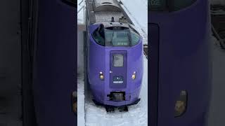 富良野駅 ラベンダー号 2025.2.8 #列車 #電車 #japan #hokkaido #train #shorts