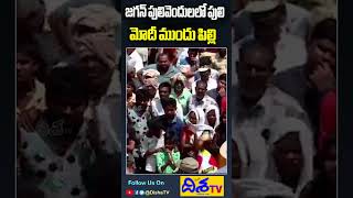 జగన్ మోడీ ముందు పిల్లి.. | YS Sharmila Sensational Comments On CM YS Jagan | AP Politics | Disha TV