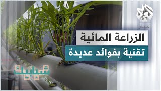 الزراعة المائية .. إقبال متزايد عليها في دول عربية كبديل عن الزراعة التقليدية