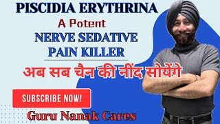 PISCIDIA ERYTHRINA -A Potent SLEEP INDUCER अब सब चैन की नींद सोयेंगे |कोई चिंता नहीं कोई फ़िक्र नहीं