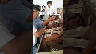 GILING ROKOK KRETEK || Semangat Mas Bro..! Jgn lupa subscribe like komen