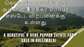 A beautiful 8 acre pepper estate for sale in Kollimalai