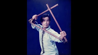 Hung Sing Choy Lay Fut (鴻勝蔡李佛) - Gran Master Lee Koon Hung (李冠雄)