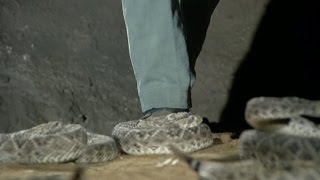 Kung Fu: Caine is at One with Rattlesnakes