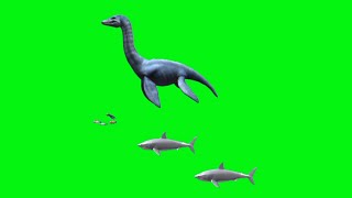Animals Sea Green Screen Video | Fish Green Screen Animation Effects Copyright free