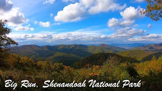 BIG RUN Brookies - Shenandoah National Park