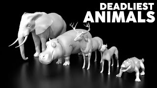 Top 20 Deadliest Animals on Earth by Deaths/Year