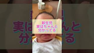 新生児の秘密#赤ちゃん #新生児 #ベビーマッサージ