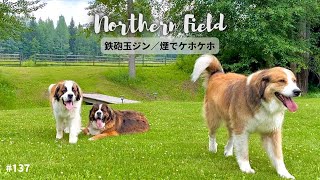 【超大型犬 3頭とカナダで田舎暮らし・海外生活】鉄砲玉ジン／煙でケホケホ