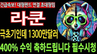 [라쿤 밈코인] 긴급속보 출시 한달도 안되어 1300만달러 모금 400% 수익 축하드립니다 대형펀드 투자받은 초대형밈 필수시청 코미녀