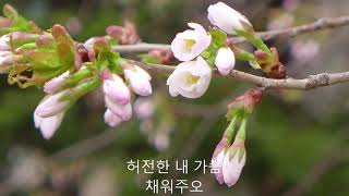 고독(이명숙 시,이안삼 곡) - 임청화 소프라노 2012