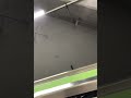 【単発】新横浜駅6番線　verde rayo 3コーラス目