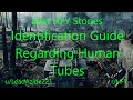 Best HFY Reddit Stories: Identification Guide Regarding Human Tubes