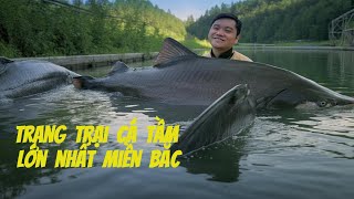 Đi thăm trang trại cá hồi cá tầm lớn nhất miền Bắc/ The biggest sturgeon and salmon farm in Vietnam