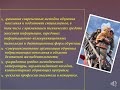 Формирование культуры безопасности