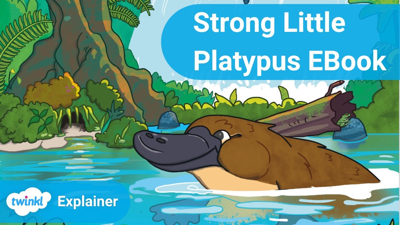 Twinkl Original Story: Strong Little Platypus EBook - YouTube