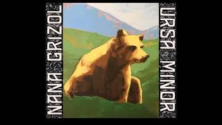 Nana Grizol - Window