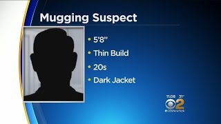 Police Search For Suspect In Central Park Attacks