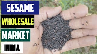 Sesame Seed Wholesale Market \u0026 Price