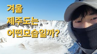 30대 직장인의 퇴사후 혼자 제주도 여행 한라산 #제주도 #한라산 #퇴사 #브이로그 #vlog #jeju