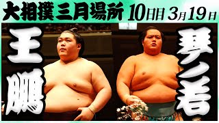 大相撲　王鵬ー琴ノ若　＜令和６年三月場所・１０日目＞SUMO