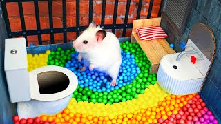 Hamster Escapes the Awesome Maze for Pets in real life 🐹 The Best Hamster Challe