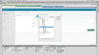 Applying Dynamic Values to Form Fields