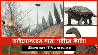 ডাইনোসরের সারা শরীরে কাঁটা! জীবাশ্ম দেখে বিস্মিত গবেষকেরা (2021) |  Dinosaur  | Mojar Baaper |