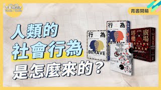 從人類與動物的行為省思人類社會性如何而來《群的征服》《行為》《廣場與塔樓》 ｜謝哲青｜青書開箱｜青春愛讀書