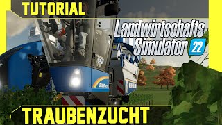 LS 22 Trauben Tutorial: Kurz, leicht und verständlich erklärt