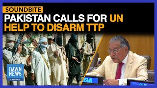 Pakistan Calls for UN’s Help to Disarm TTP | Dawn News English