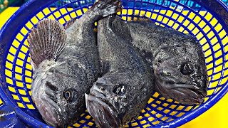 우럭회뜨기 농어비늘 Rockfish Sashimi