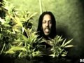 Julian Marley - Boom draw