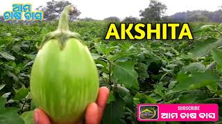 akshita brinjal  #short #shorts